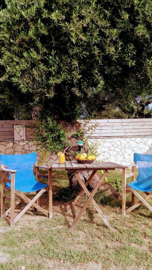 Villa Julia Tsilivi  Extérieur photo